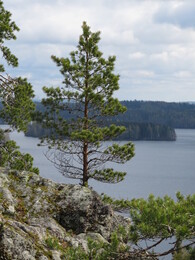 �������� ����� �������, 5 ���