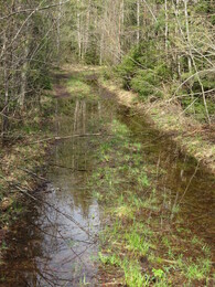 �������� ����� �������, 5 ���