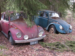 �������� ����� �������, 5 ���