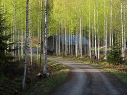 �������� ����� �������, 5 ���