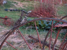 �������� ����� �������, 5 ���