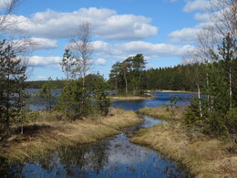 �������� � ����� Tejo, 14 ���