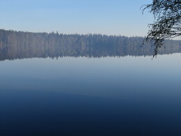 ����-������ ��� ��������, 19 ���