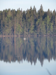 ����-������ ��� ��������, 19 ���