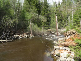 ����-������ ��� ��������, 19 ���