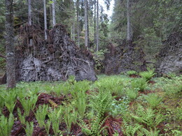 �������� ����� �����, 25 ���