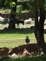 �����������, ������ �����, 7 ����