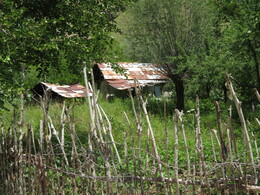 �����������, 7 ����