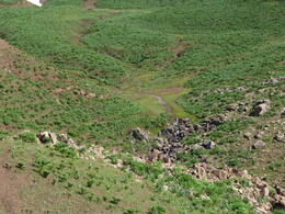 �����������, 8 ����