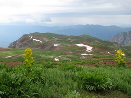 �����������, 8 ����