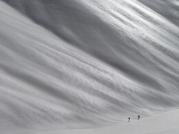 �����������, 14 ����