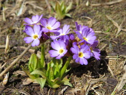 �����������, 14 ����