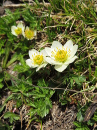 �����������, 14 ����