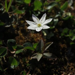 ���� ������, ��������, 28 ����