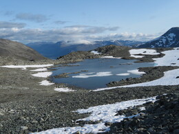 ���� ������, ��������, 29 ����