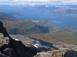 ���� ������, ��������, 29 ����