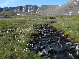 ���� ������, ��������, 31 ����