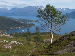 ���� ������, ��������, 31 ����