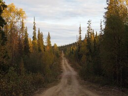 ������� �� ���������, ����� - ����, 20 ��������