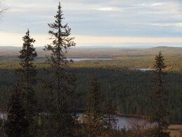 ������� �� ���������, ����� - ����, 20 ��������