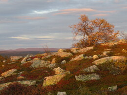 ������� �� ���������, ����� - ����, 20 ��������