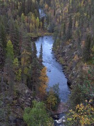 ������� �� ���������, ����� - ����, 21 ��������