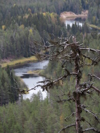 ������� �� ���������, ����� - ����, 22 ��������