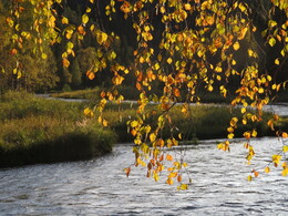 ������� �� ���������, ����� - ����, 22 ��������