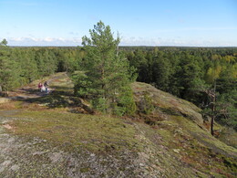 �������� ����� �����������, 28 ��������