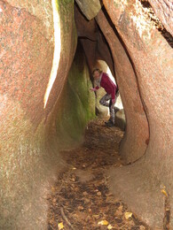 ������ ����� �����������, 28 ��������