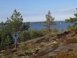 �������� � ��������, 28 ��������