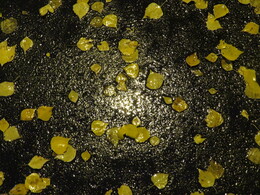 ���������, 27 �������