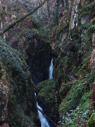 ������� Stanley Force