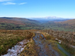 10 �������, �������� � ������ Dent, �������