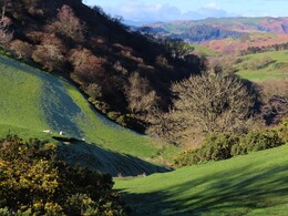 ���������� � ������ ����� Dinas Bran