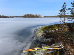 �������� ���