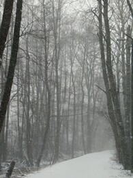 5 ������, �������� � Herttoniemi