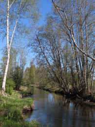 12 ���, ���������� ������������ � �������