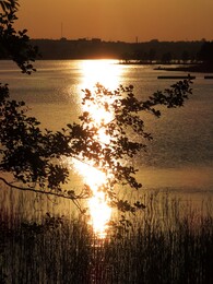 27 ���, ���������