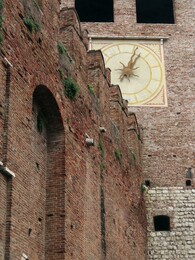 3 ����, ������