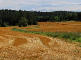 17-18 �������, ������� � �.�. �� Kruusila �� Karjaa