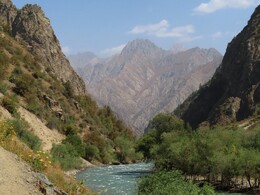 ���� ����