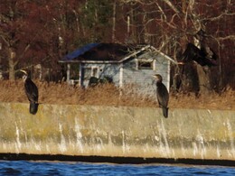 17 ������, ������� �� ������ � ���������