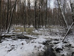 16 �������, �������� ������ ������ � Herttoniemi