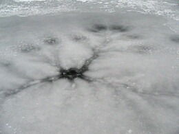 следы на льду