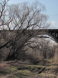мост кольцевой ж/д через Сукушу