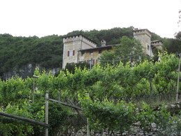 замок в виноградниках