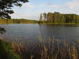 озеро Ruostejärvi; красивая грива через озеро оказалась перегорожена дачным забором, пришлось перелезать