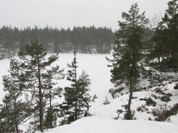 озеро Pitkälammi