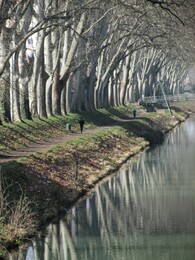 canal de Brienne